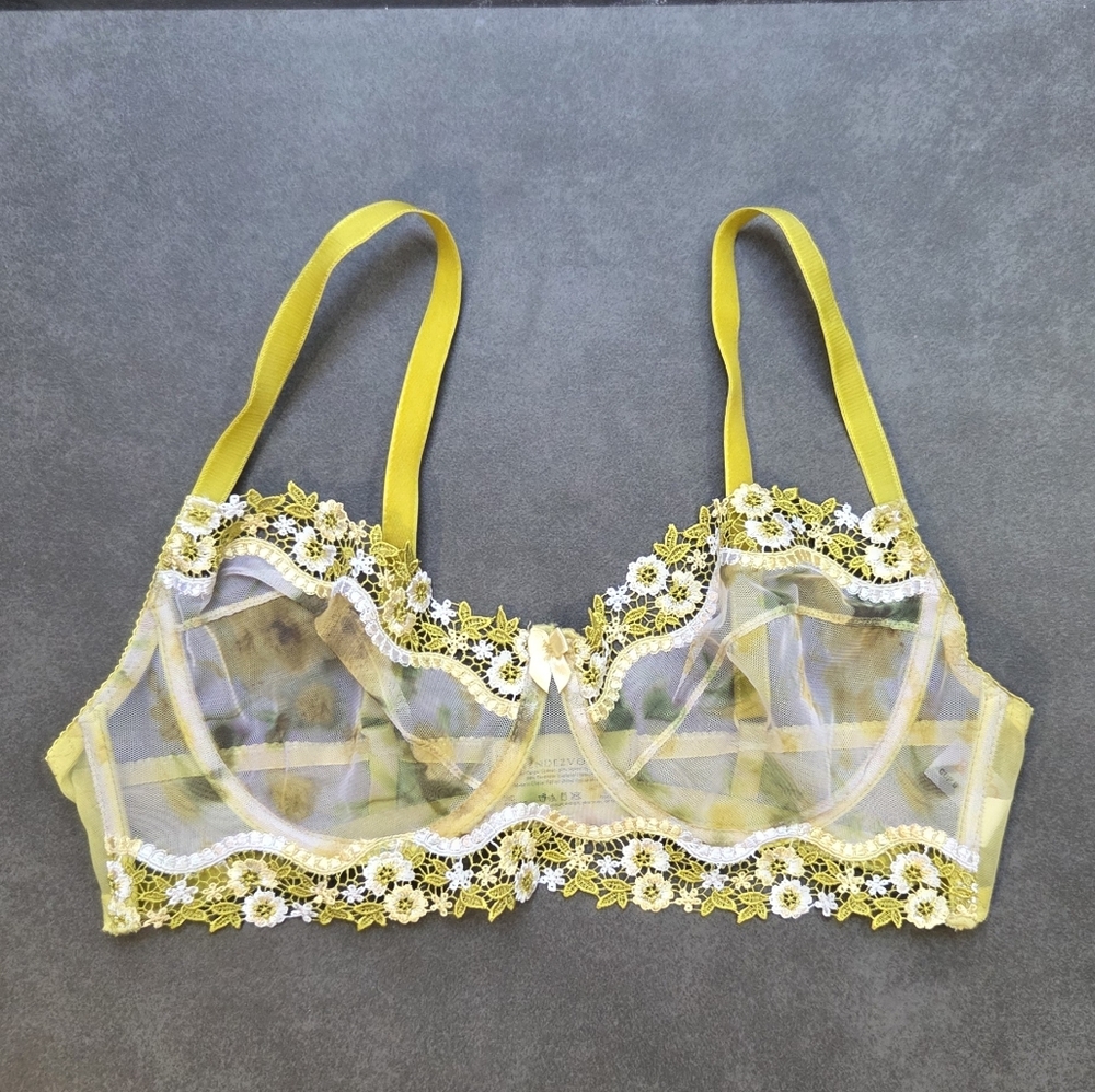 Rendezvous Mesh Floral Underwire Bra 38C